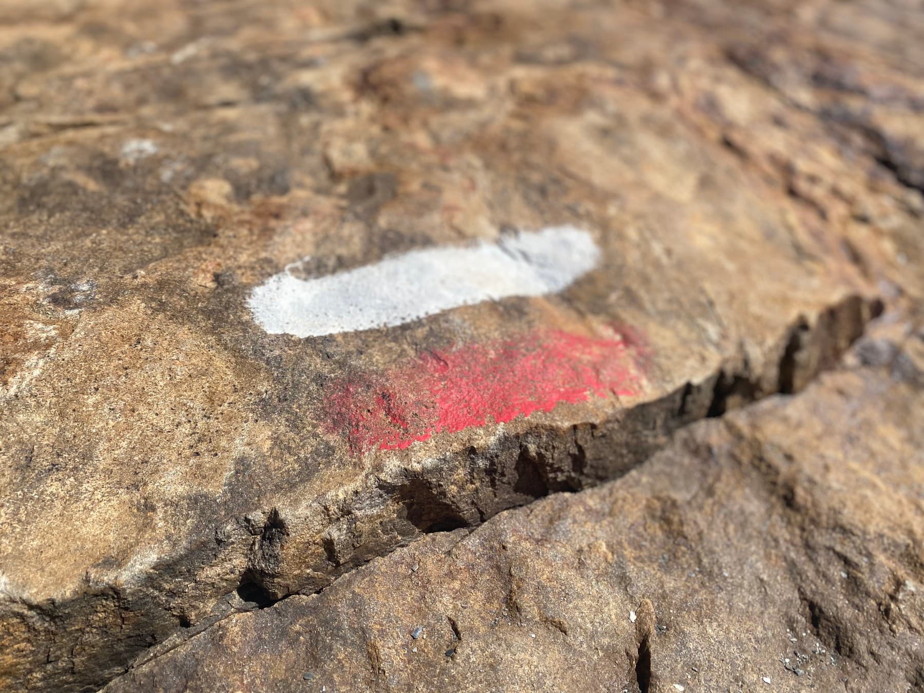 The TMB signs are everywhere - even in the reverse direction